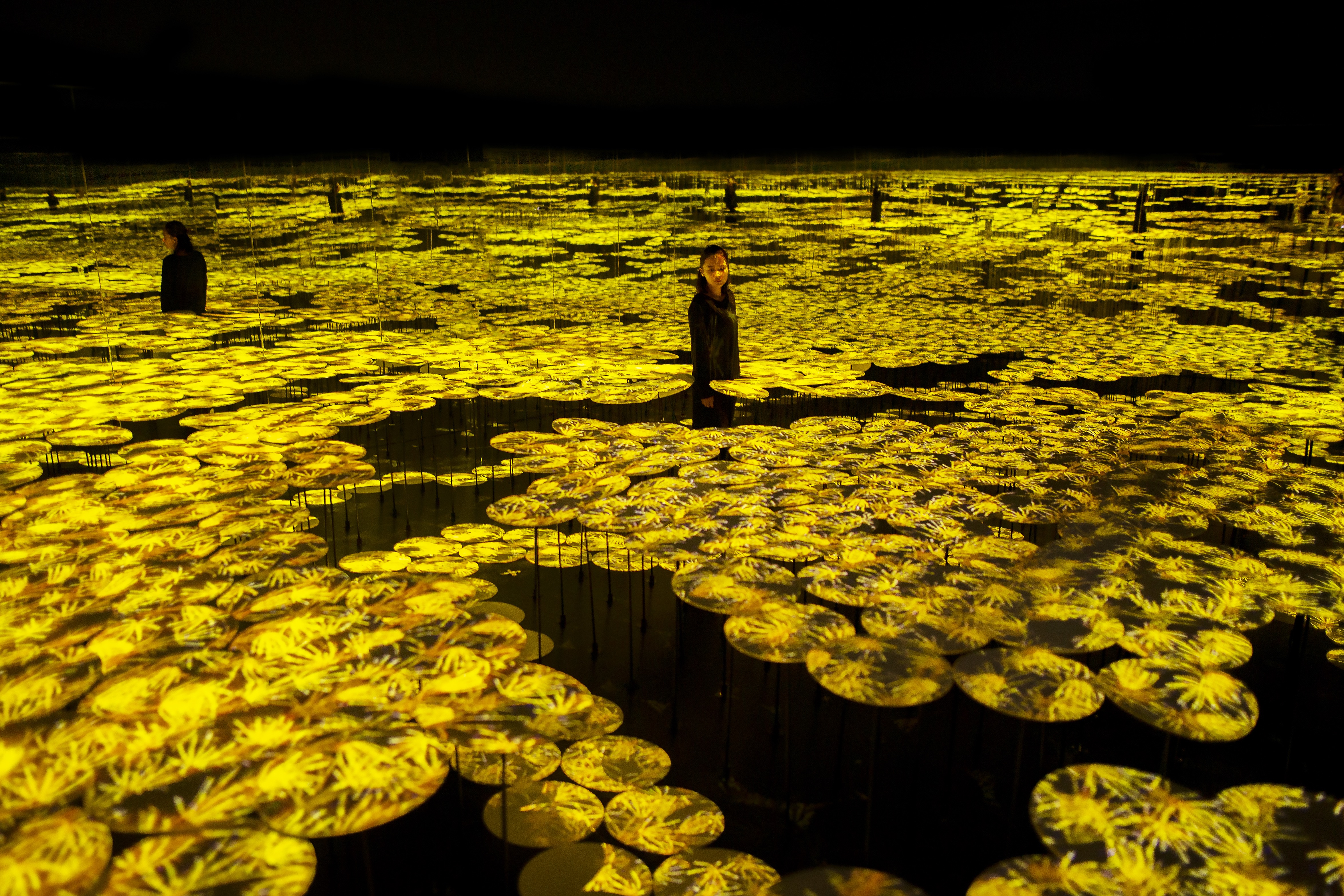 チームラボ、広州（中国）で大規模な展覧会「teamLab: Forest of Life & Future Park」を開催。2019年4月27日（土）～10月7日（月）