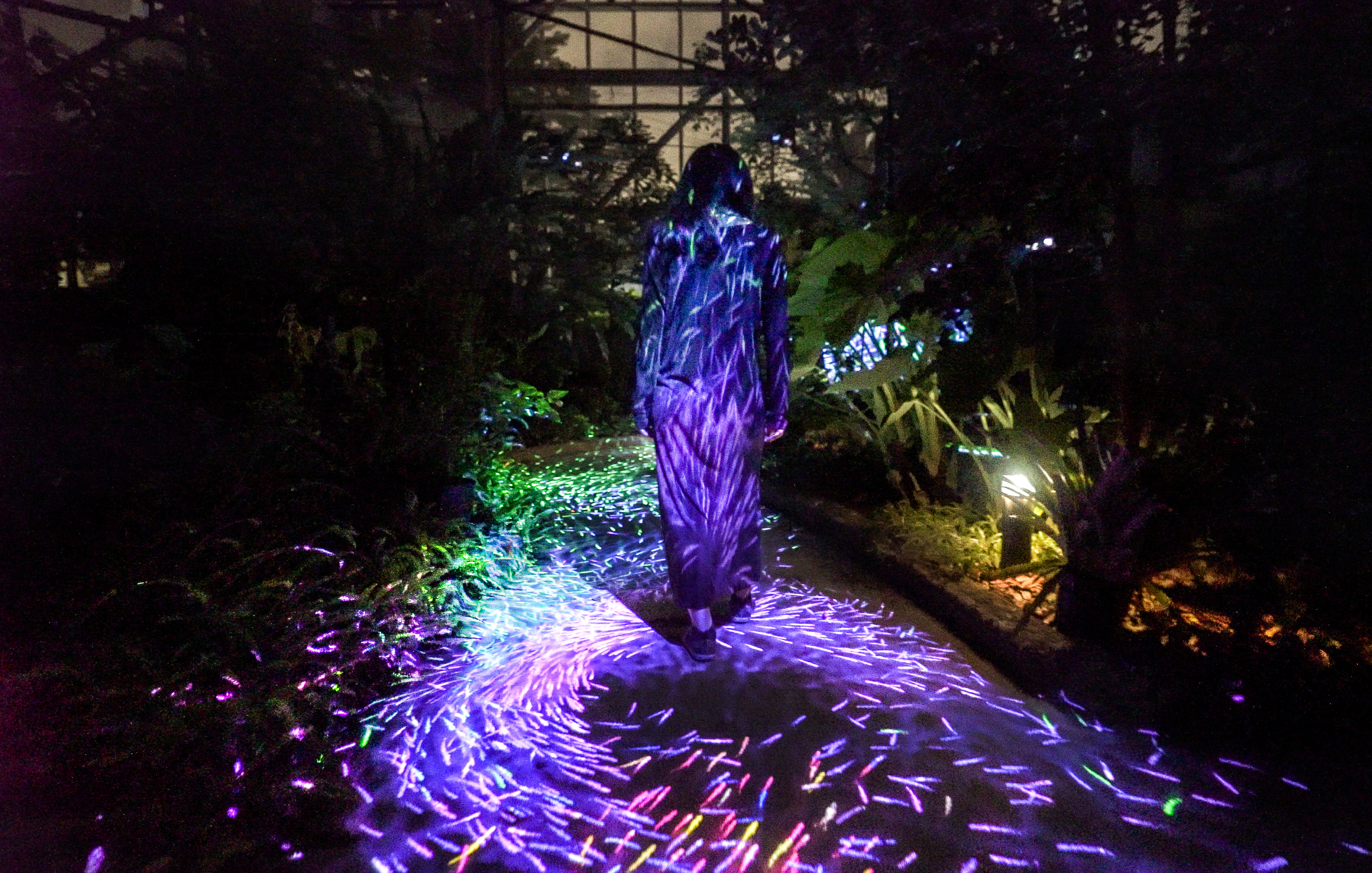 チームラボ 山口 宇部市のときわ公園にて今年もアート展を開催 世界を旅する植物館 水の道 光の道 8月9日 金 オープン チームラボのプレスリリース