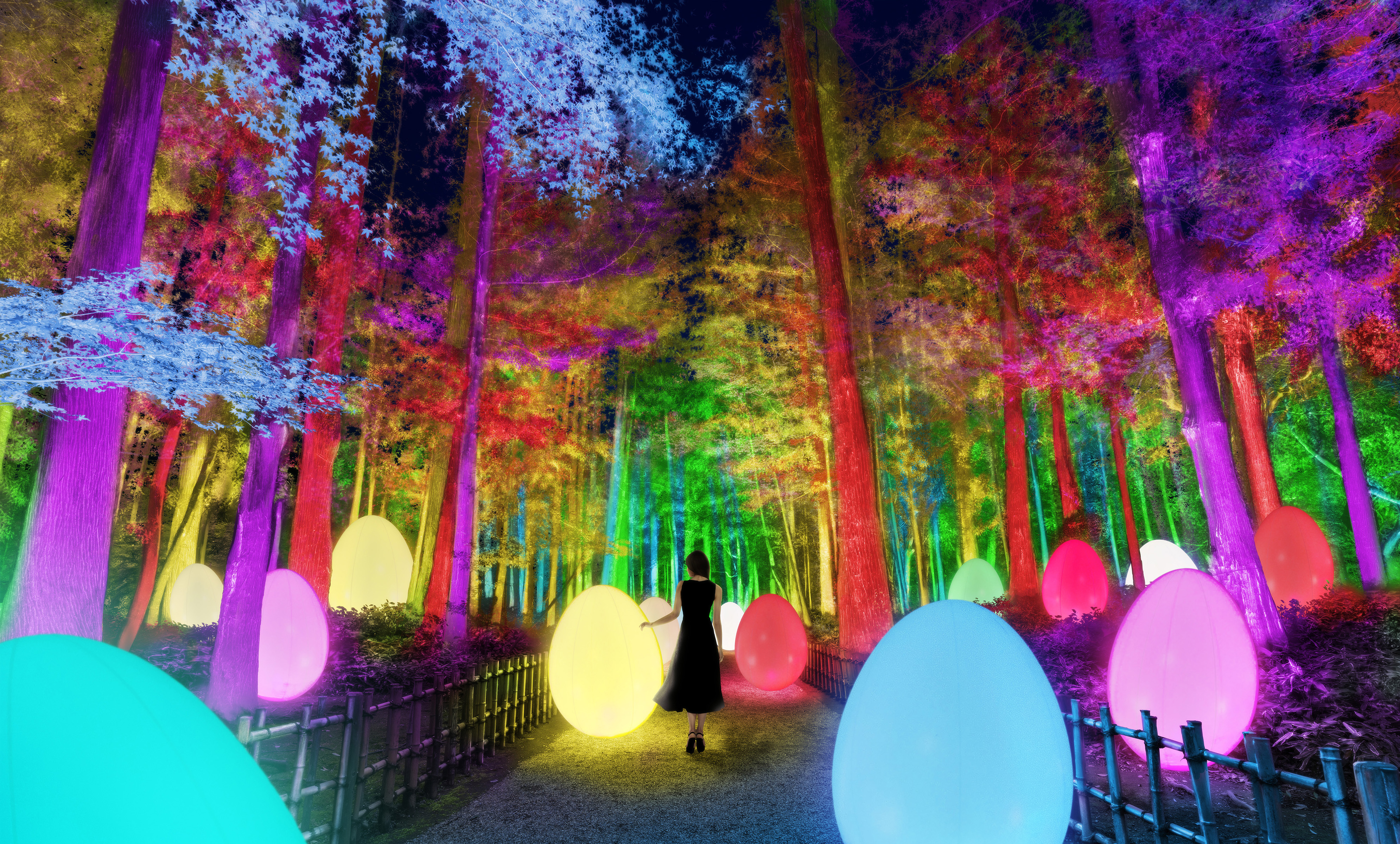 チーム 梅 ラボ まつり 約1,500本の梅が光り輝く！「チームラボ」と日本の三名園「偕楽園」がコラボし、新アート空間が誕生