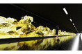チームラボ、全長112メートルの巨大パブリックアートを、上海の地下鉄駅に常設展示。12月30日公開