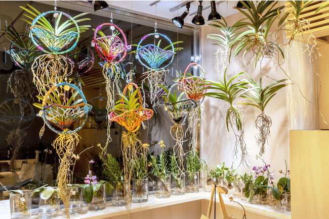 「teamLab Flower Shop」東京 豊洲 (C)チームラボ 「teamLab Flower Shop」東京 豊洲 (C)チームラボ