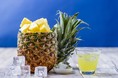 夏季限定 「水出しプーアール茶 マスカットソーダ風味」「補酵素のチカラ ソルティパイン」が2021年4月9日(金)発売開始!