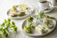 早春の萌え出ずる新緑をイメージしたアフタヌーンティー 「Larboard Afternoon Tea ~Vert~」