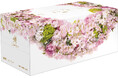 今年も、ひと足早く春の訪れを 桜デザインのプレミアムティシューを1月1日より数量限定で発売