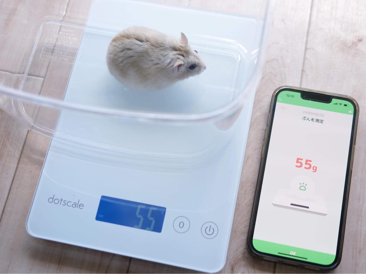 動物愛護週間 9 ちいさな動物向け 体重管理ミニアプリ を無料提供開始 株式会社ヒメナ アンド カンパニーのプレスリリース 動物愛護週間 9 ちいさな動物向け 体重管理ミニアプリ を無料提供開始 株式会社ヒメナ アンド カンパニーのプレスリリース