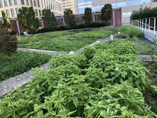 (C)?XeroJapan, Inc. (C)?XeroJapan, Inc.