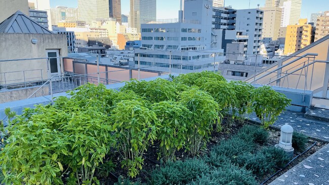 (C)?XeroJapan, Inc. (C)?XeroJapan, Inc.