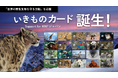 「いきものカード Support for WWFジャパン」を提供開始