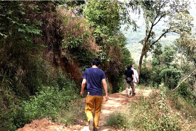 天空農園の様子 天空農園の様子