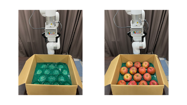 箱詰め作業は、箱詰め前と箱詰め後の写真をロボットに搭載されたカメラに見せるだけ