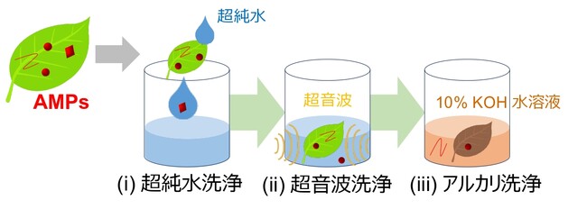 図3　本研究で実施した葉の洗浄実験