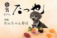 愛犬と “一緒に食べる幸せ” を。「 愛犬専用鮨 」で紡ぐ、かけがえのない家族の時間。【 鮨 たつ也 よしかわ 】が提案する、新たな外食のかたち。