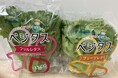 (株)ツバキベジムーブ、(株)Green Factory TFKと工場野菜の販売委託およびコンサルティング契約締結