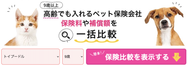 ペット保険ステーション 高齢でも入れるペット保険 ページ内比較表デザインをリニューアル 株式会社エレメントのプレスリリース