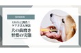 11月8日は「いい歯の日」 全国調査で判明 犬の歯磨きをほとんどしていない飼い主は約4割
