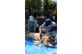 4月19日に飼育の日イベントを開催します