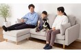 ニトリの人気ソファ「CSシリーズ」が価格はそのままにリニューアル!Nシールド生地はキズ汚れに強く、お手入れラクラク