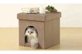 【ニトリ デコホーム】ペットが入れる折りたたみスツールが新登場!シリーズで揃えれば、理想の収納スペースに♪