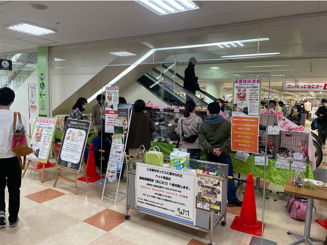 店舗での譲渡会開催イメージ 店舗での譲渡会開催イメージ