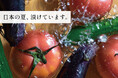 合言葉は『日本の夏、漬けています！』今年も「おつけもの銀座若菜」が展開する期間限定ショップが品川駅エキナカにオープンします。