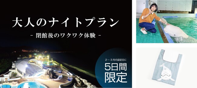 【鴨川シーワールド】ベルーガ好き必見！飼育員とのディナーや閉館後のワクワク体験が詰まった18歳以上限定の特別企画「大人のナイトプラン」を開催！！