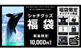 【鴨川シーワールド】鴨川シーワールドのシャチグッズ福袋が登場!2024年12月12日(木)『シャチグッズ福袋』販売開始!
