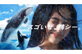 【鴨川シーワールド】鴨川シーワールド「新TVCM放映決定!!」