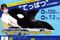 【鴨川シーワールド】『“てっぱつ”シャチぬいぐるみ』販売開始