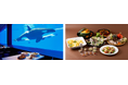 【神戸須磨シーワールド】シャチの見えるレストランなど水族館で秋の味覚を堪能 9月1日(月)より新メニューが登場