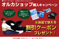 【鴨川シーワールド】55周年記念「オルカショップ」購入キャンペーン開催