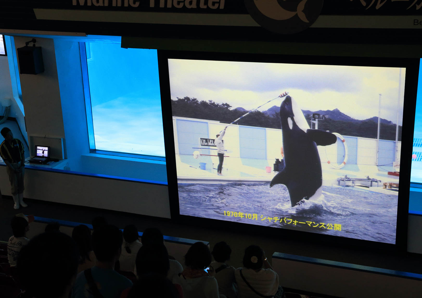 鴨川シーワールド 国際博物館の日 記念行事 特別レクチャー 鴨川シーワールド シャチとの歩み 15年5月16日 土 17日 日 18日 月 に開催 グランビスタ ホテル リゾートのプレスリリース