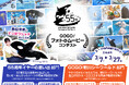 【鴨川シーワールド】最優秀賞受賞者には「てっぱつシャチぬいぐるみ」を贈呈！『GOGO！鴨川シーワールド フォト＆ムービーコンテスト』開催