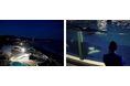 【鴨川シーワールド】夏は日中の暑さを回避して閉館後の水族館をめいっぱい楽しもう！「水族館探検プラン」＆「ナイトアドベンチャー」を開催