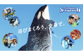 【鴨川シーワールド】千葉県発の気鋭バンド×千葉県老舗の水族館でお届けする新CMが解禁！夏の新CM放送決定！＆ SNSキャンペーン開催！！
