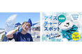 【鴨川シーワールド】シャチ柄の『オリジナル 氷のう』を数量限定販売＆購入者専用で「氷のおかわり（1回分）」ができるアイスチャージスポットを今夏導入