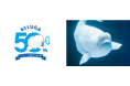 【鴨川シーワールド】国内初となるベルーガの飼育を開始し、2026年9月19日(土)で50周年！「ベルーガ 50th Anniversary」記念営業を開催