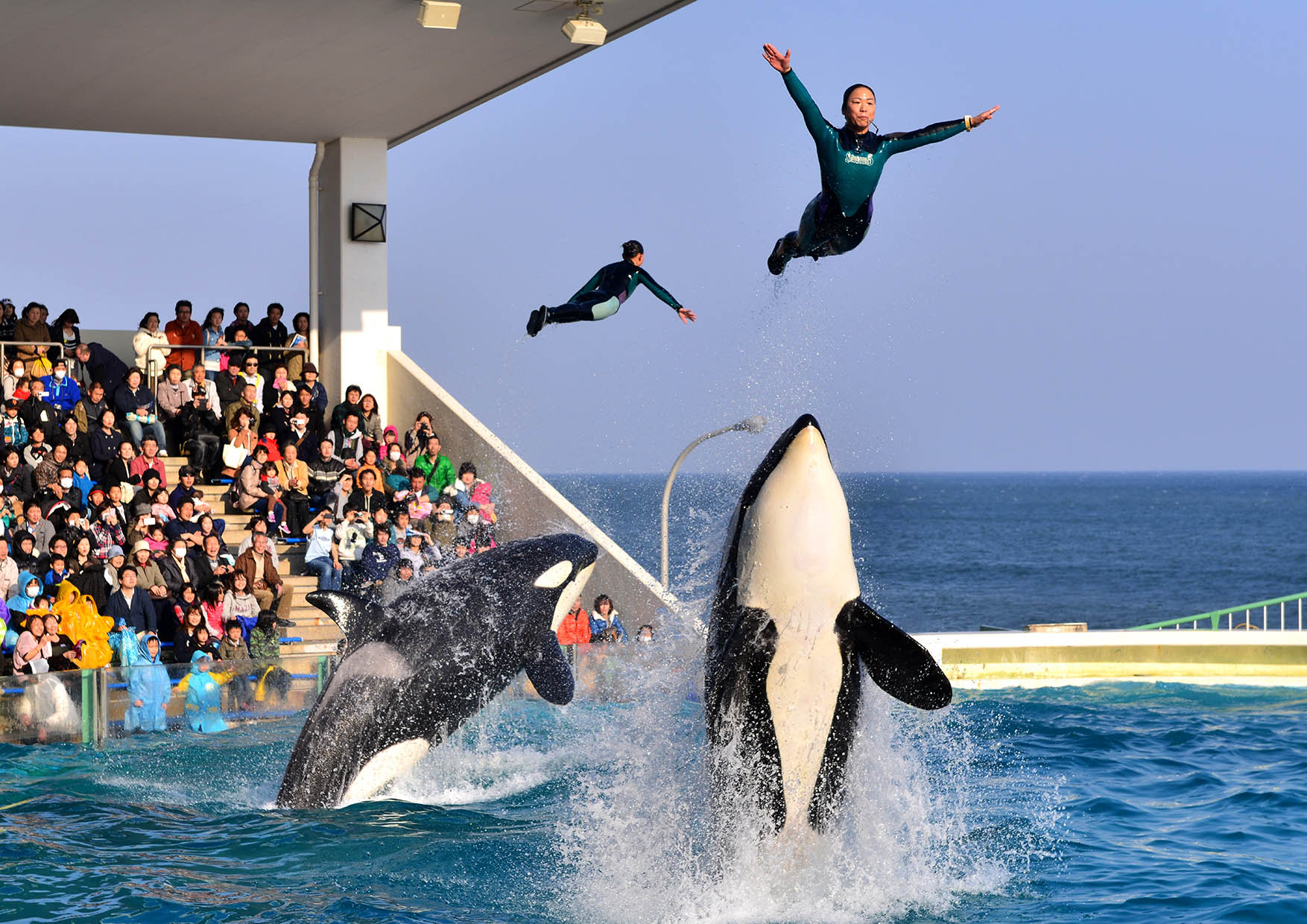 鴨川シーワールド 今年は2日間 65歳以上のお客様を対象に50 割引 鴨川シーワールド 敬老の日 特別割引を実施 15 年9 月19 日 土 および9 月23 日 水 祝 グランビスタ ホテル リゾートのプレスリリース 鴨川シーワールド 今年は2日間 65歳以上のお客様を対象に50 割引 鴨川シーワールド 敬老の日 特別割引を実施 15 年9 月19 日 土 および9 月23 日 水 祝 グランビスタ ホテル リゾートのプレスリリース