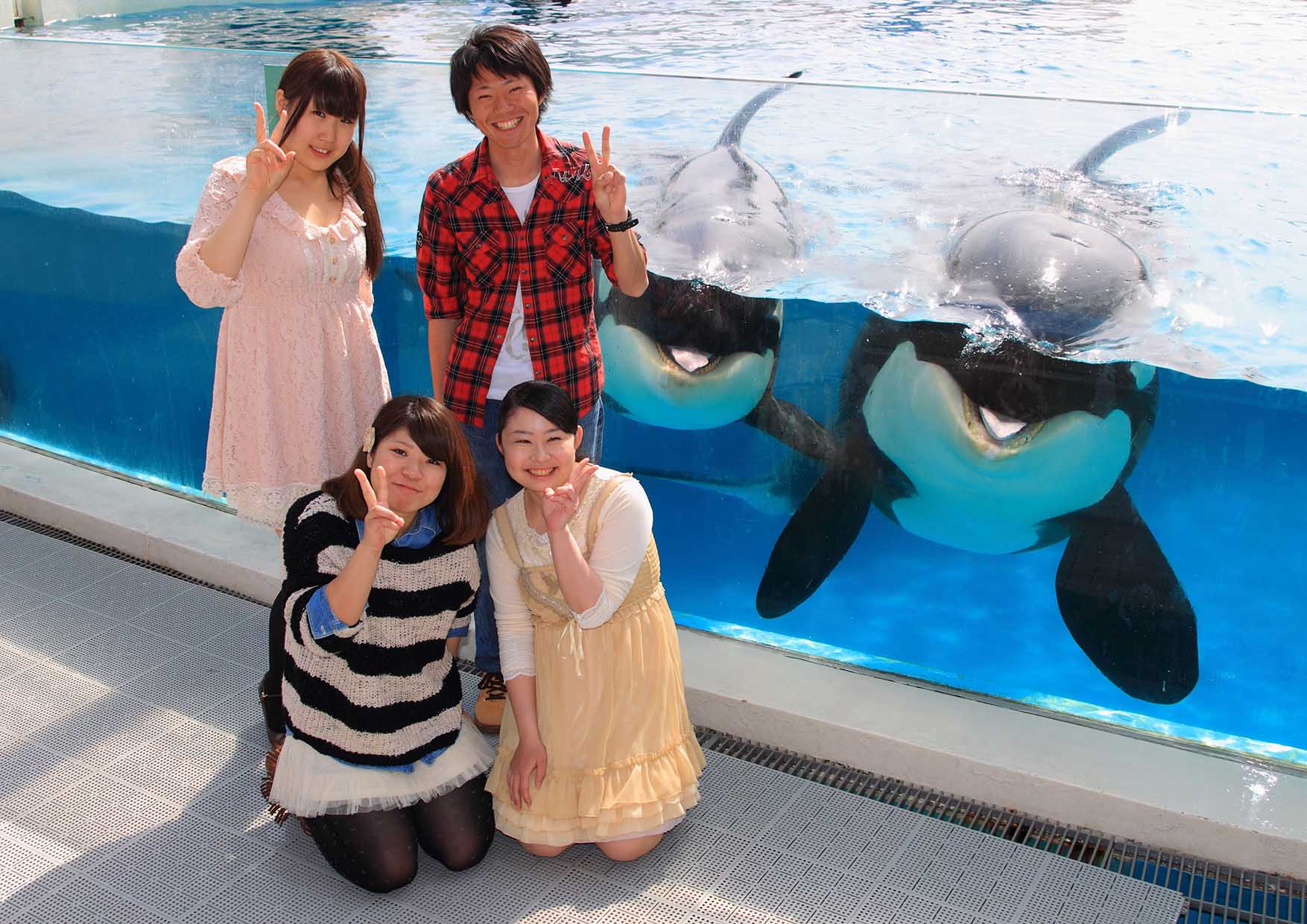 鴨川シーワールド シャチへの給餌体験 ガラス越しにシャチと記念写真付 シャチスペシャルナイトステイ開催 16年2月日 土 27日 土 3月5日 土 3日間限定 グランビスタ ホテル リゾートのプレスリリース 鴨川シーワールド シャチへの給餌体験 ガラス越しにシャチと記念写真付 シャチスペシャルナイトステイ開催 16年2月日 土 27日 土 3月5日 土 3日間限定 グランビスタ ホテル リゾートのプレスリリース