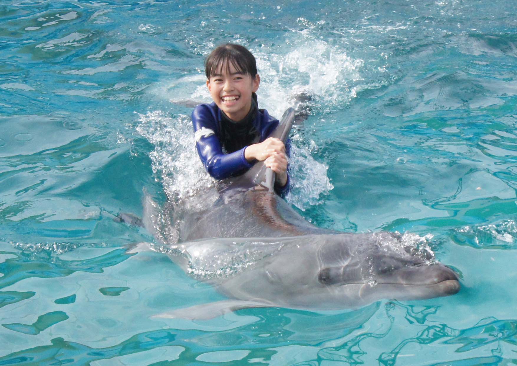 鴨川シーワールド 小学校5 6年生対象 水族館で高度なトレーナーの職業体験にチャレンジ ジュニアトレーナー 参加者募集 16年5月13日 金 10 00より電話予約受付開始 グランビスタ ホテル リゾートのプレスリリース