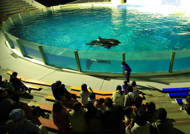 ナイトアドベンチャー（夜の水族館探検）