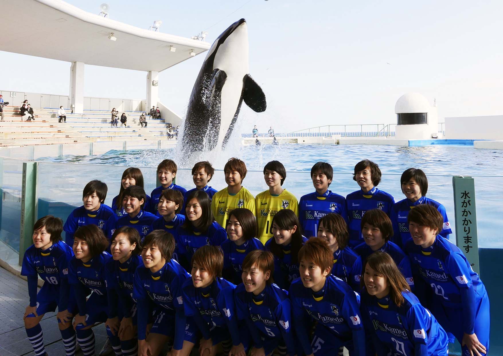 鴨川シーワールド 鴨川市 市制記念日 にちなみ 鴨川市民に無料開放 鴨川市民day 開催 17年2月11日 土 祝 グランビスタ ホテル リゾートのプレスリリース 鴨川シーワールド 鴨川市 市制記念日 にちなみ 鴨川市民に無料開放 鴨川市民day 開催 17年2月11日 土 祝 グランビスタ ホテル リゾートのプレスリリース