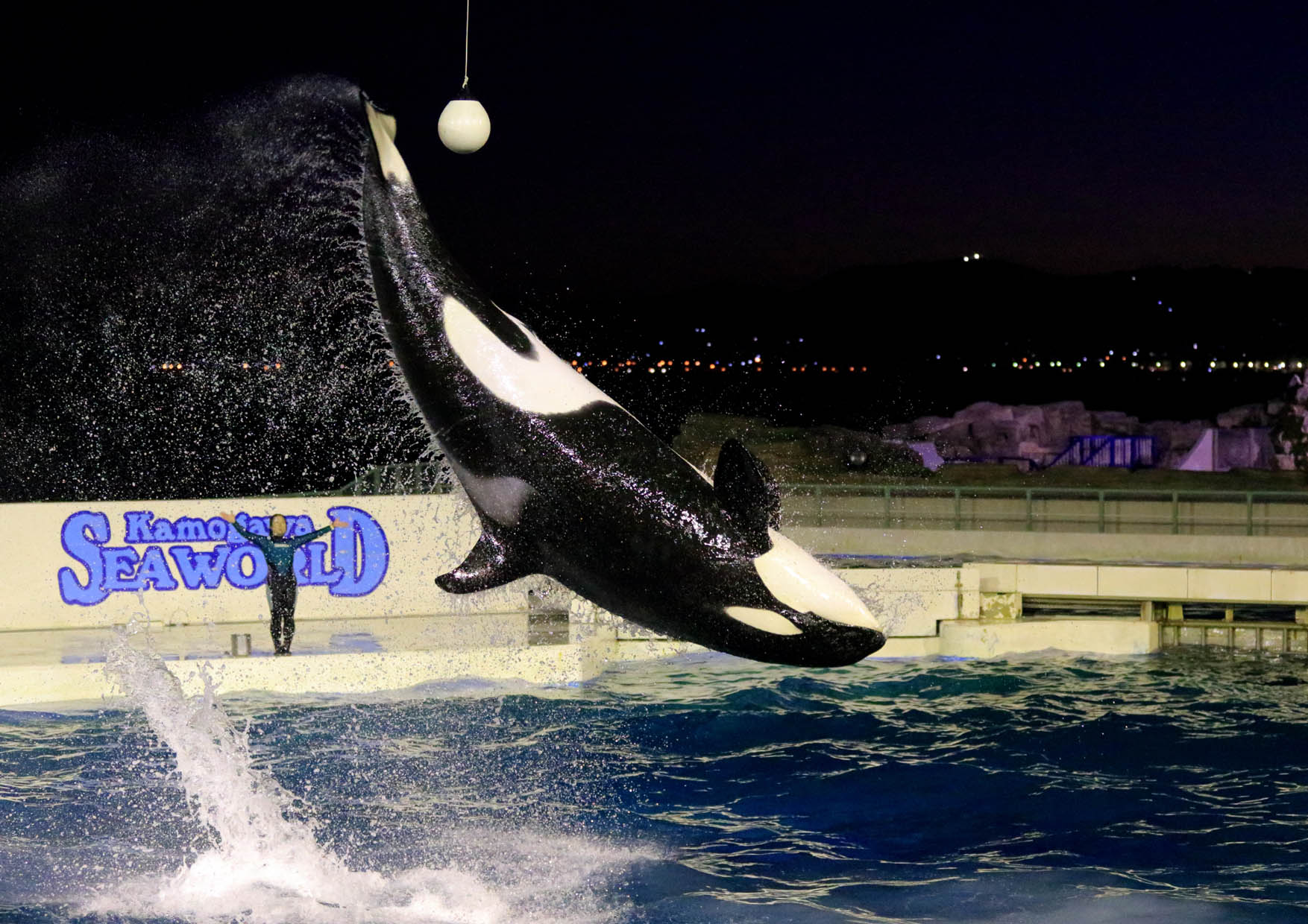 鴨川シーワールド一夜限りの水族館貸切 クリスマスディナー シャチナイトパフォーマンス 開催 13年12月13日 金 10組名様限定 グランビスタ ホテル リゾートのプレスリリース