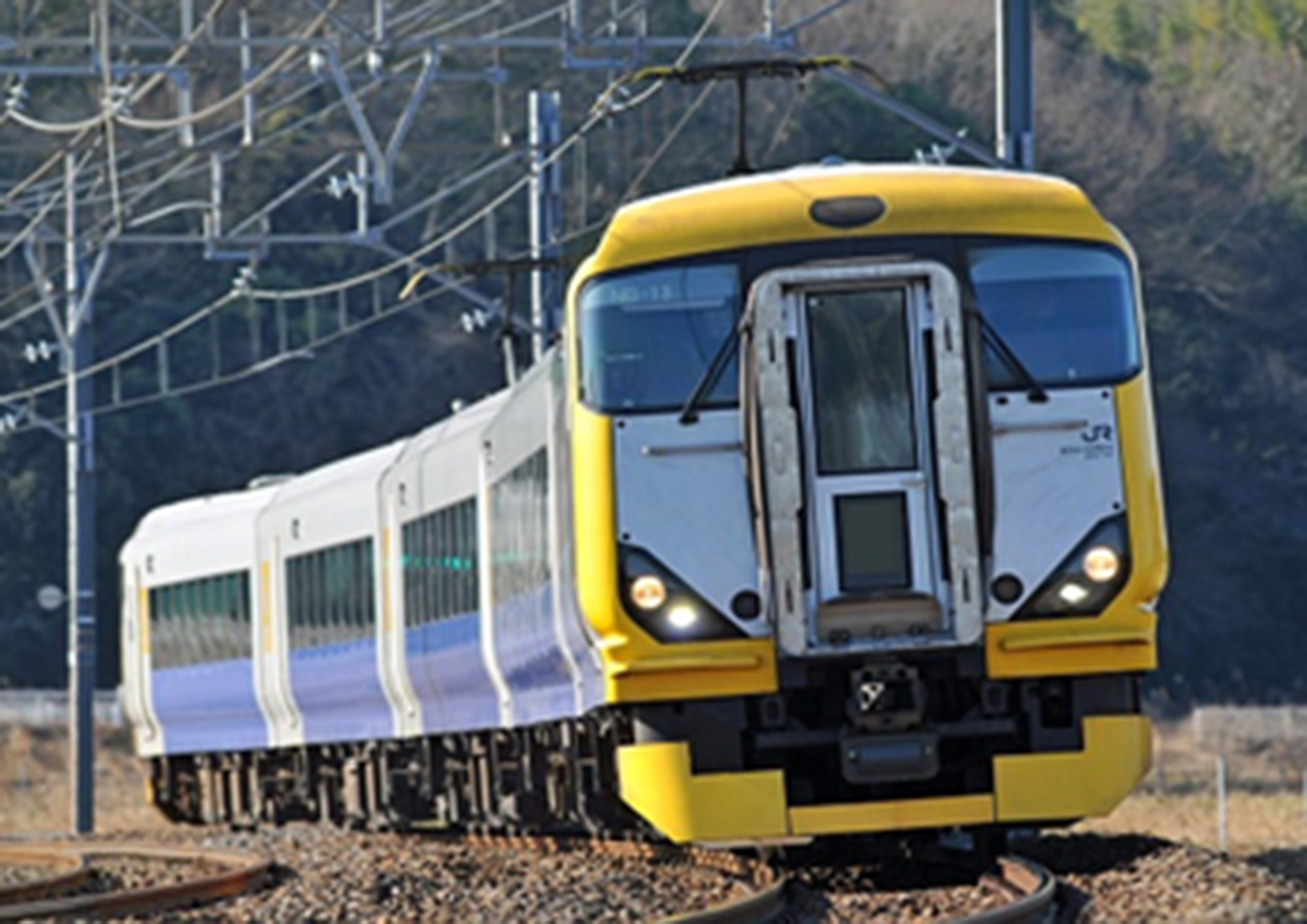 Jr特急往復乗車券と鴨川シーワールド入園券のセットプラン渋滞知らずの列車旅 春の特別割引キャンペーン開催 グランビスタ ホテル リゾートのプレスリリース