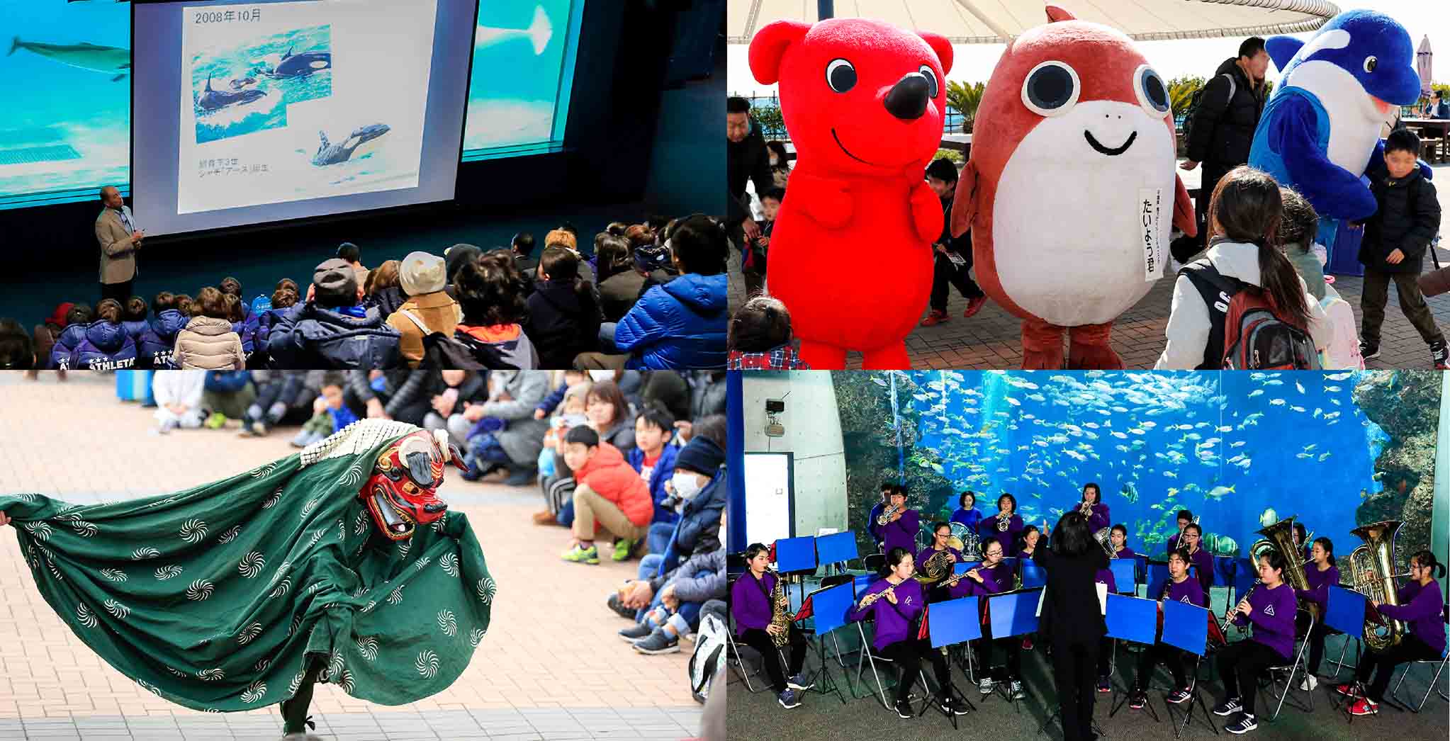 鴨川市民は入園無料！年に一度の特別イベント鴨川シーワールド「鴨川市民DAY」開催2020年2月11日(火・祝)