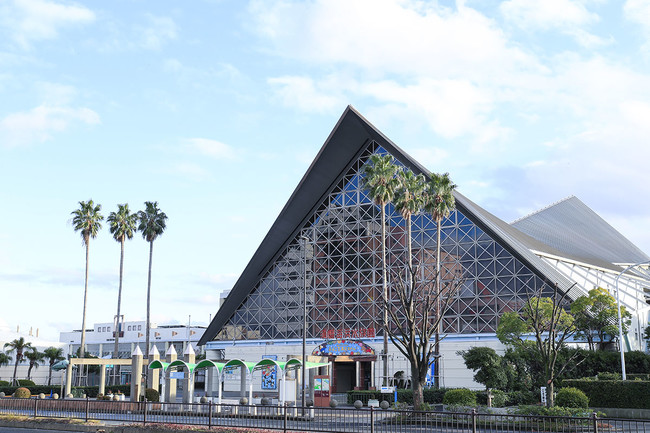 神戸市立須磨海浜水族園 Kobe観光の日 関連イベント 10月1日 木 事前抽選で無料入園を実施 グランビスタ ホテル リゾートのプレスリリース