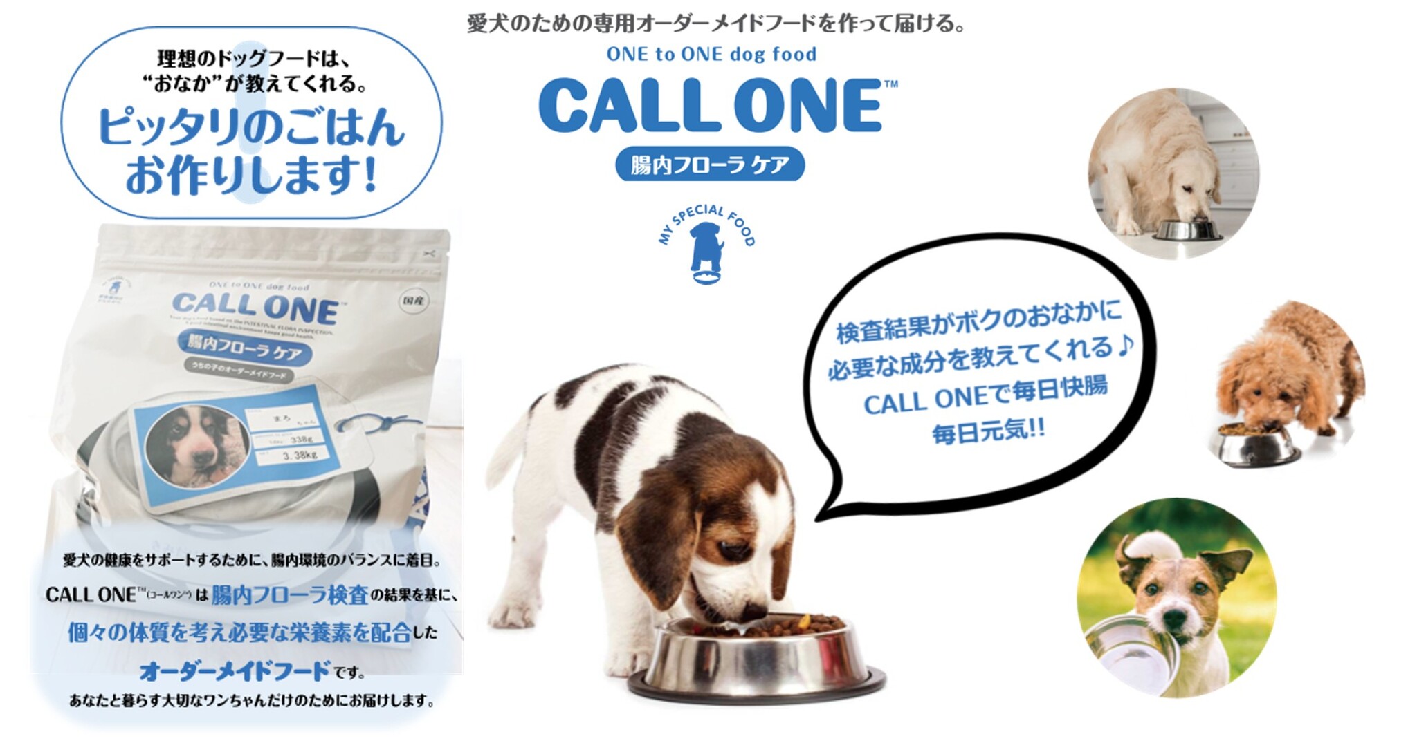 検査から作るオーダーメイドドッグフード【CALL ONE】生活習慣に合わせた新プランが登場!|株式会社ブーリアンのプレスリリース