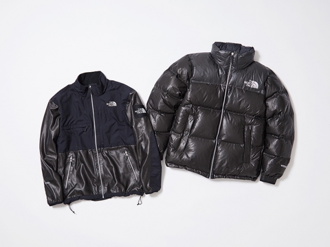 THE NORTH FACE GTXデナリジャケット M GORE-TEX