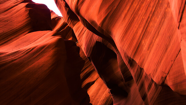 canyon’s_1