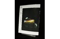 【YUGEN Gallery】現在開催中の蓮井幹生 写真展「朽ちゆく果てにも美は宿る」にて、来場者の方へオリジナル冊子をプレゼント!