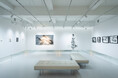 【YUGEN Gallery FUKUOKA】個展開催中!白と黒が織りなす世界を描く人気墨絵アーティスト・西元祐貴の独占インタビューを公開